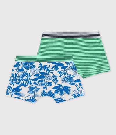 Lot de 2 boxers petit garçon jungle en coton