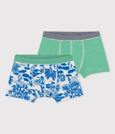 Lot de 2 boxers petit garçon jungle en coton