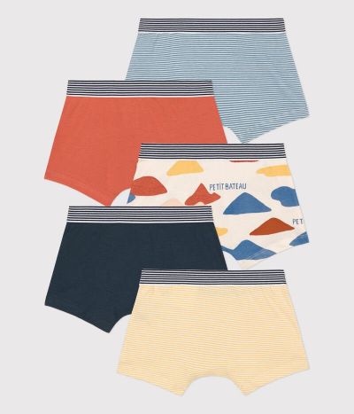 Lot de 5 boxers petit garçon en coton