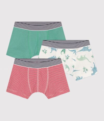 Lot de 3 boxers enfant en coton imprimé dinosaures